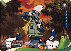 Gotta See! Gotta Know! Kakashi Sensei's True Face NREA02-R-020L1