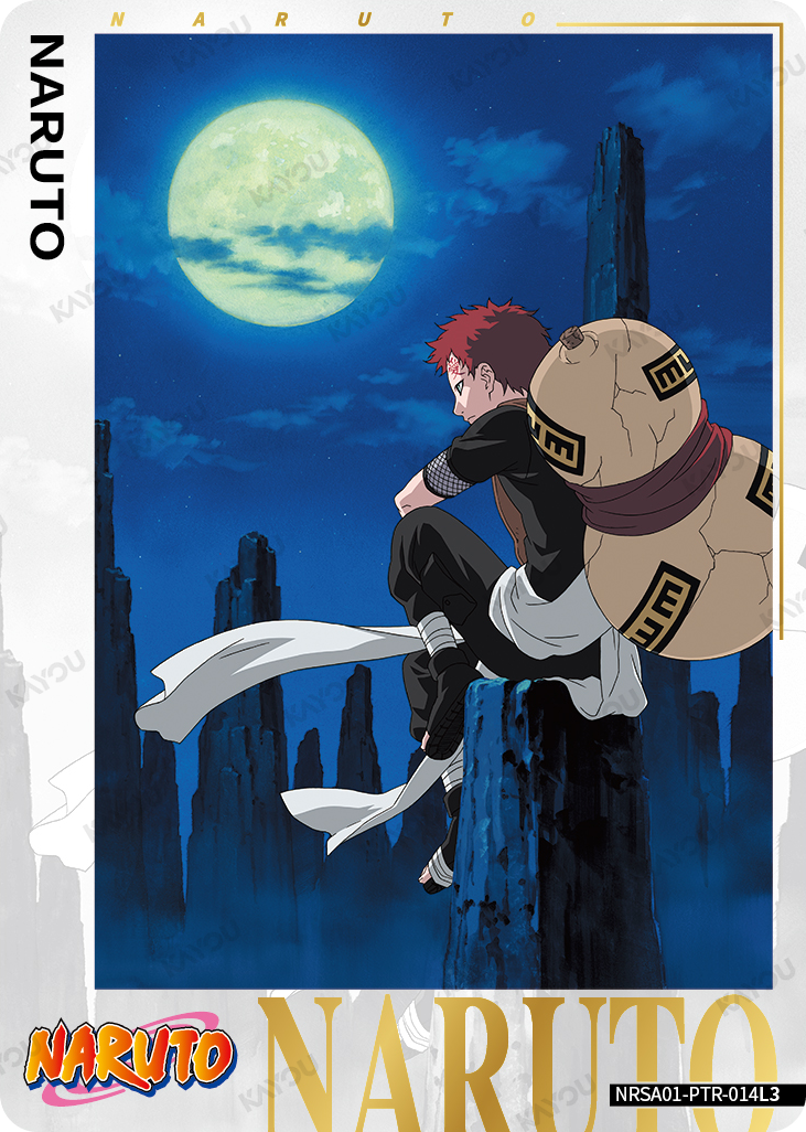Haku — NRSA01-PTR-014L3