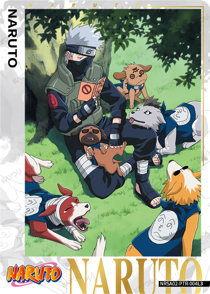 Kakashi Hatake — NRSA02-PTR-004L3