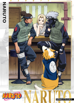 Tsunade & Kakashi Hatake & Iruka Umino NRSA02-PTR-014L3