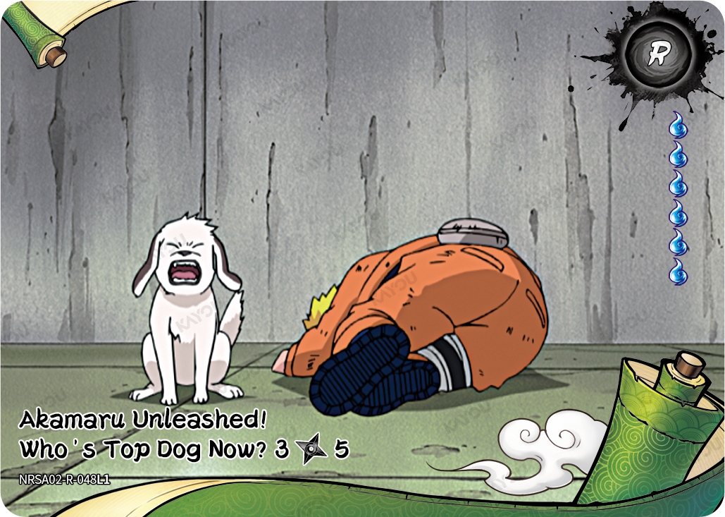 Akamaru Unleashed: Who's Top Dog Now? (3/5) — NRSA02-R-048L1