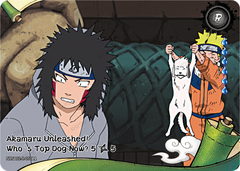 Akamaru Unleashed: Who's Top Dog Now? (5/5) NRSA02-R-050L1