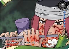 Roar and Howl! The Ultimate Tag-Team! (1/3) NRSA03-R-013L1